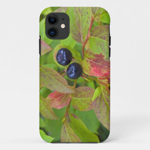 Reife Heidelbeeren im Flathead National Case-Mate iPhone Hülle