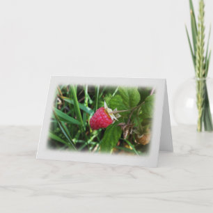 Reife Himbeere Karte