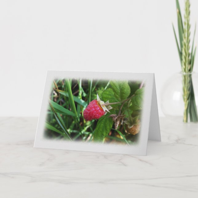 Reife Himbeere Karte (Vorderseite)