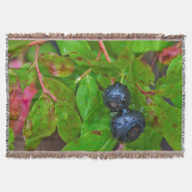 Reife hucklebeeren bei leichtem Regen Decke (Vorderseite)