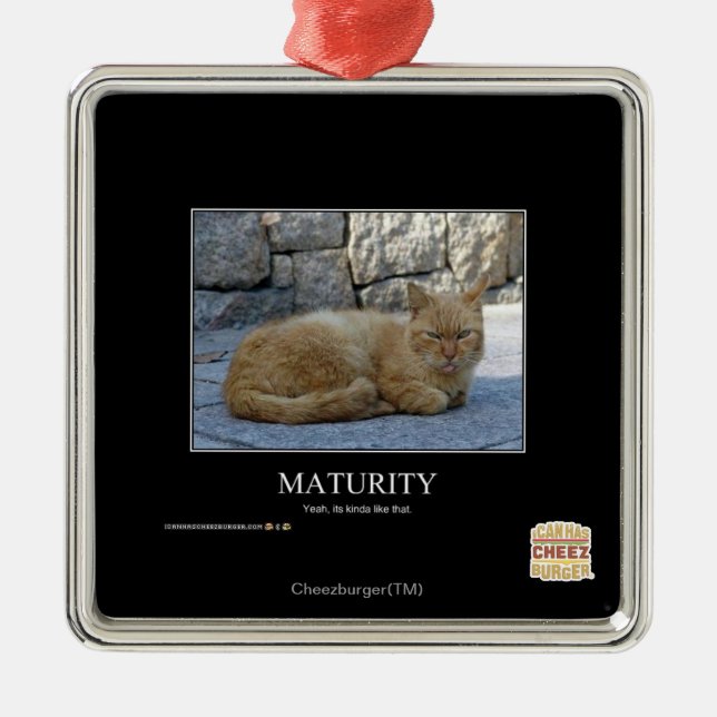 Reife Ornament Aus Metall (Vorne)