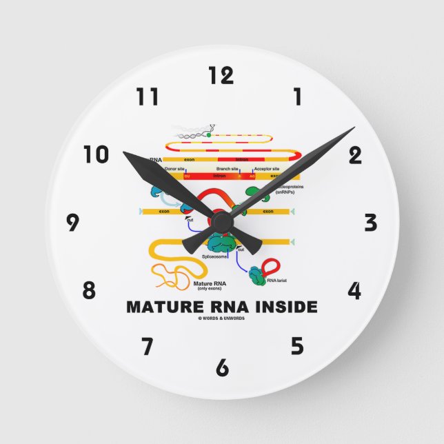 Reife RNA Inside Biology Spaß Runde Wanduhr (Vorderseite)