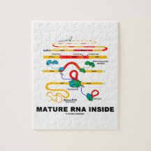 Reife RNS innerhalb des Biologie-Spaßes