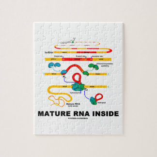 Reife RNS innerhalb des Biologie-Spaßes Puzzle