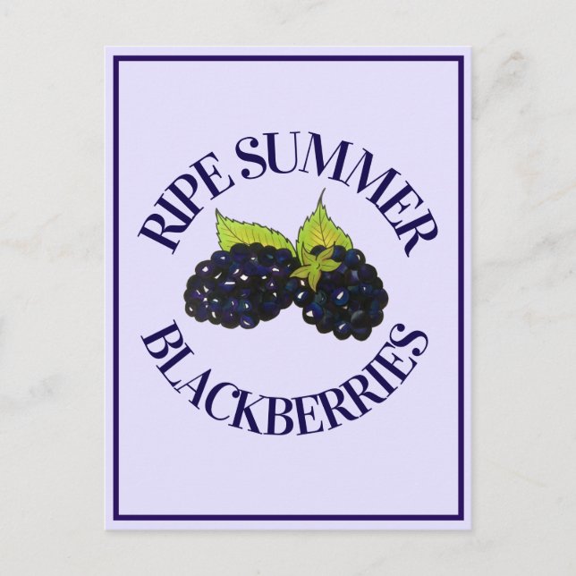 Reife Sommer BlackBerry BlackBerry Berry Berries Postkarte (Vorderseite)