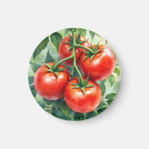 Reife Tomatenranke Aquarell Frisch Magnet