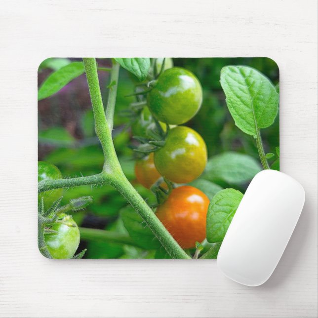Reifegrade von Kirschtomaten Mousepad (Mit Mouse)