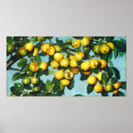 Reifende Birnen - Joseph Decker Fine Art Poster