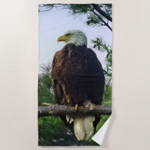 Reifender Adler aus Bald in Evergreen Tree Strandtuch