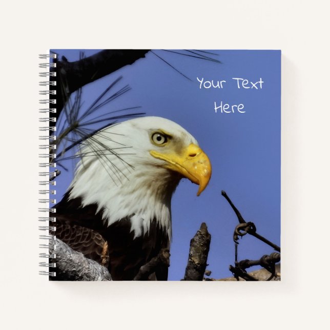 Reifender Adler im Nest *Personalize* Notizbuch (Vorderseite)