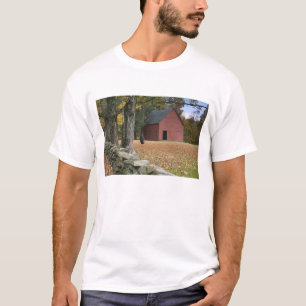 Reifenschaukel entlang einer Straße im Süden Vermo T-Shirt