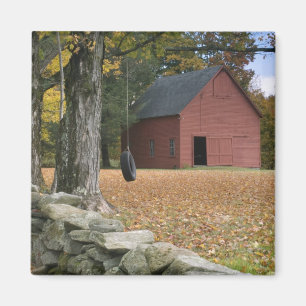 Reifenschwung entlang einer Straße in Südvermont, Magnet