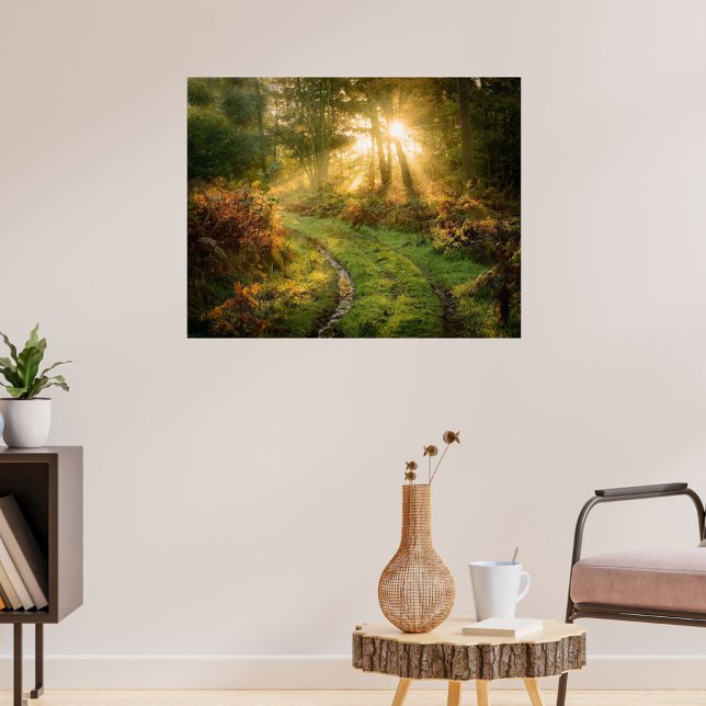 Reifenspuren in der Wald Poster Artwork Mural (Tracks in Forest)