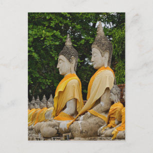 Reihe Buddha Statuen, Wat Yai Chaya Mongkol Postkarte