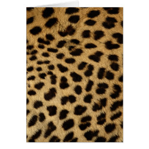 Reihe Cheetah fur Wildlife Cards