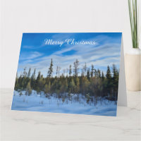 Reihe Evergreens - Leere