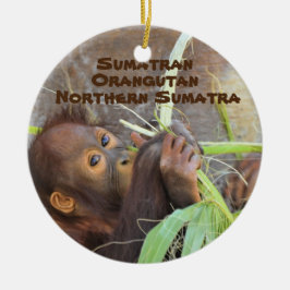 Reihe gefährdete Arten Sumatran Orangutan Keramik Ornament