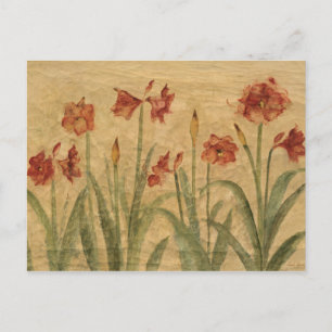 Reihe roter Amaryllis Postkarte