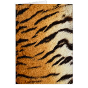 Reihe Tiger Fur Wildlife Cards