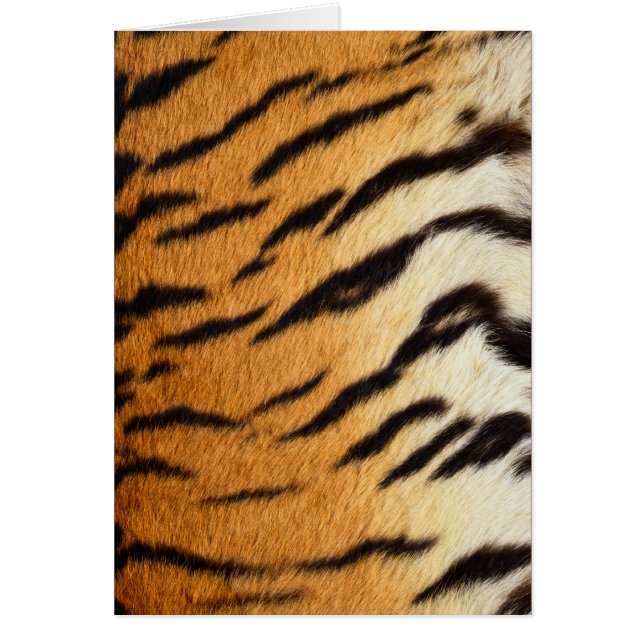 Reihe Tiger Fur Wildlife Cards (Vorne)