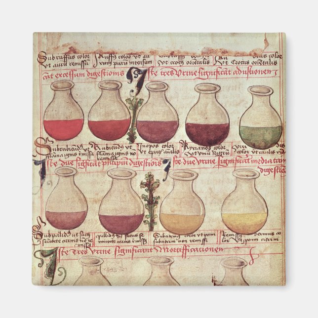 Reihe von Flags für die Urinanalyse Magnet (Vorne)