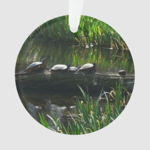 Reihe von grünen Naturfotos von Schildkröten Ornament