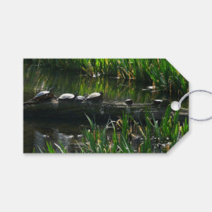 Reihe von grünen Schildkröten in der Natur Foto Geschenkanhänger