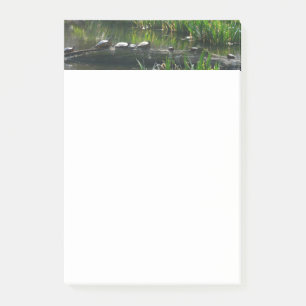 Reihe von grünen Schildkröten in der Natur Foto Post-it Klebezettel
