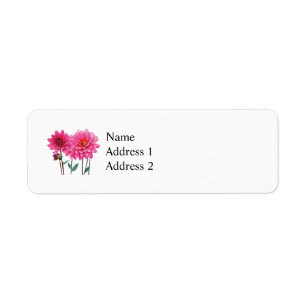 Reihe von rosa Dahlias