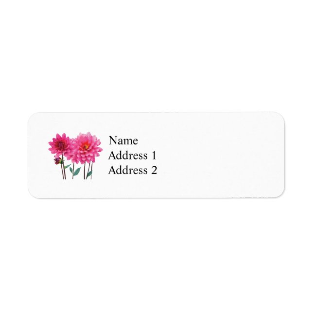 Reihe von rosa Dahlias (Vorne)