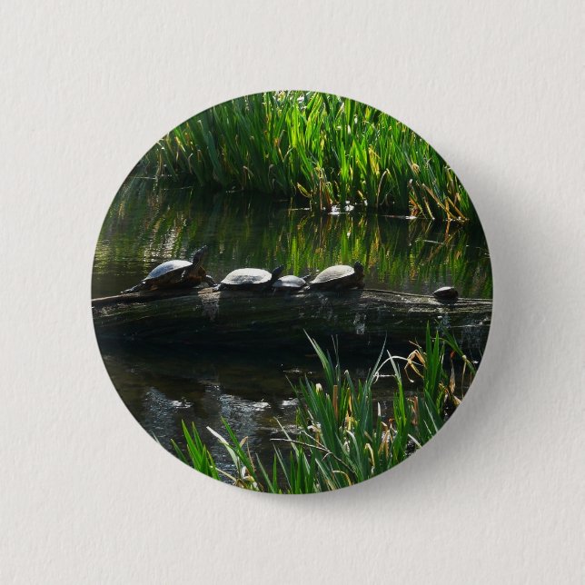 Reihe von Schildkröten Grünes Foto Button (Vorderseite)
