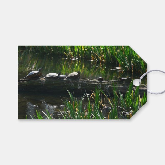 Reihe von Schildkröten Grünes Foto Geschenkanhänger (Vorderseite (Horizontal))