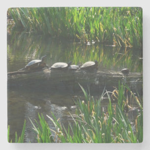 Reihe von Schildkröten Grünes Foto Steinuntersetzer