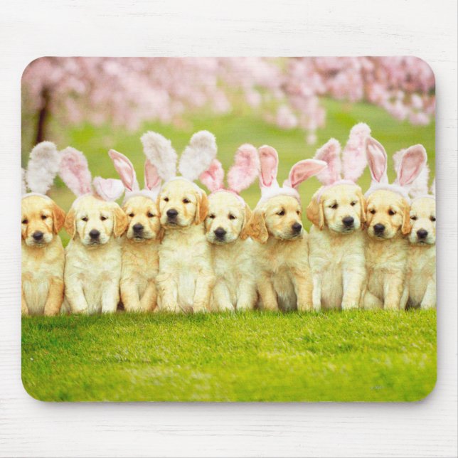 Reihe von Welpen-Häschen Mousepad (Vorne)