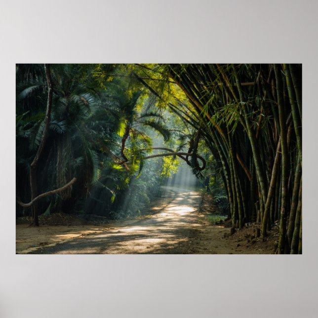 Reihen von Bamboo Poster (Vorne)
