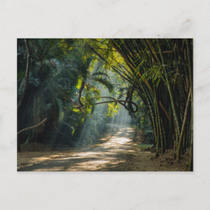 Reihen von Bamboo Postkarte