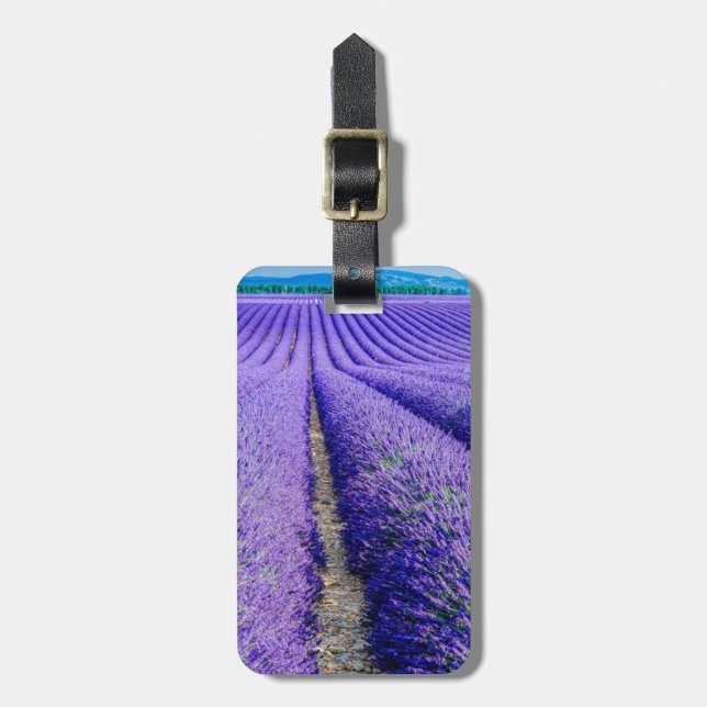 Reihen von Lavender, Provence, Frankreich Gepäckanhänger (Vorderseite vertikal)