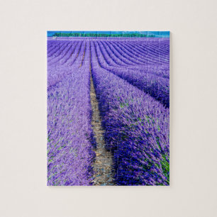 Reihen von Lavender, Provence, Frankreich Puzzle
