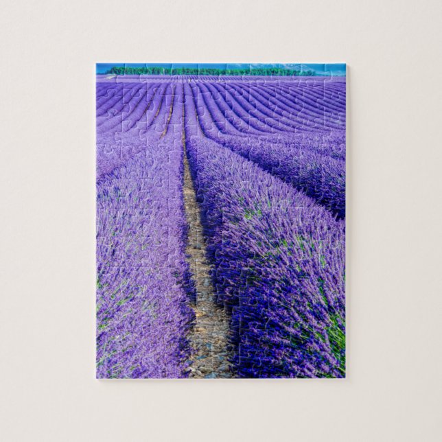 Reihen von Lavender, Provence, Frankreich Puzzle (Vertikal)