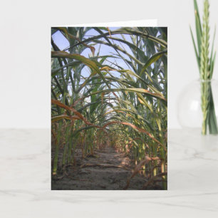 "Reihen von Mais" Hallowe’en Card Karte