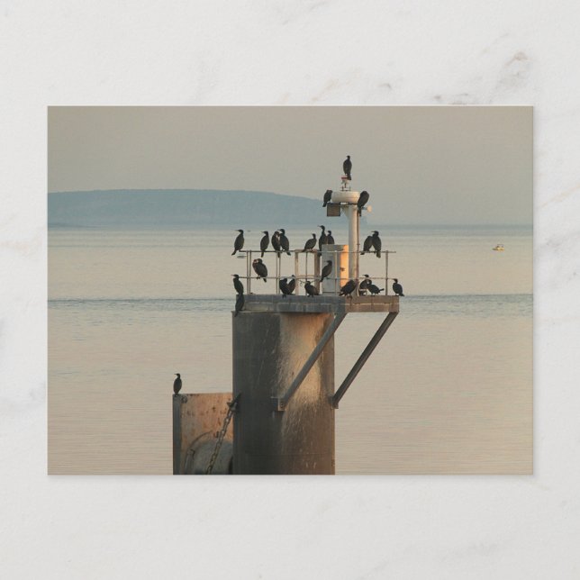 Reihenfolge absuchen postkarte (Vorderseite)