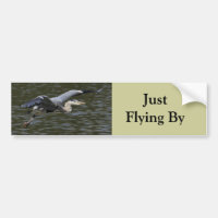 Reiher-Fliege vorüber