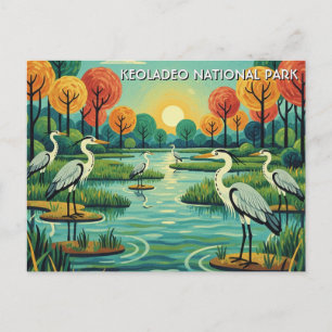 Reiher im Keoladeo-Nationalpark Indien Reise Postkarte