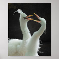 Reiher schwarz und weiß Tropicaler Kunstdruck