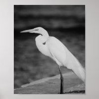 Reiher schwarz und weiß Tropische druckbare Kunst