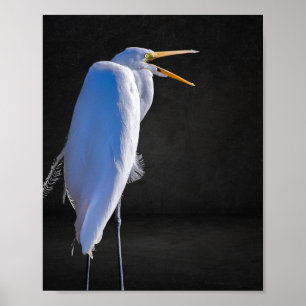 Reiher schwarz und weiß Tropische druckbare Kunst Poster