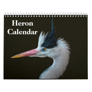Reiher Vogel 2027 Kalender