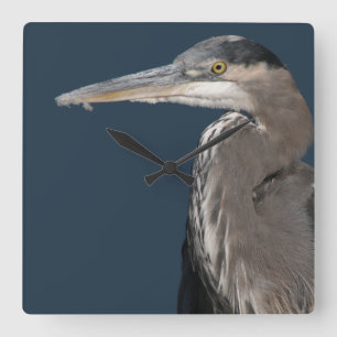 Reiher-Vogel-Tier-Tiere Quadratische Wanduhr