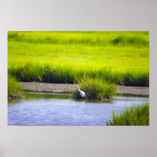 Reiher-Wasserlandschafts-Plakat Poster