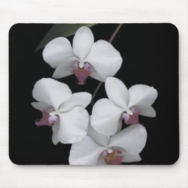 Rein Mousepad (Vorne)